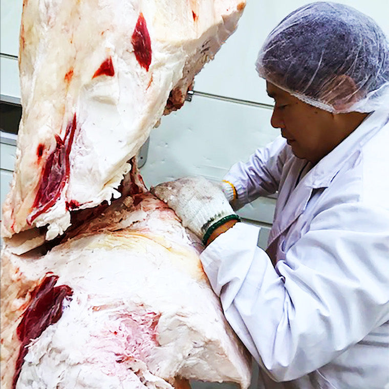 厳選 石垣牛 切り落とし 500g I-13